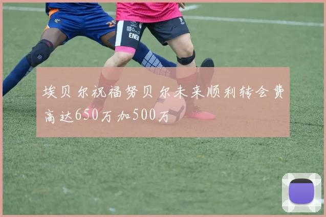 埃贝尔祝福努贝尔未来顺利转会费高达650万加500万